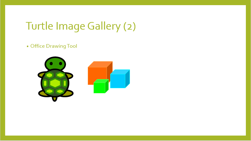 Turtle Image Gallery